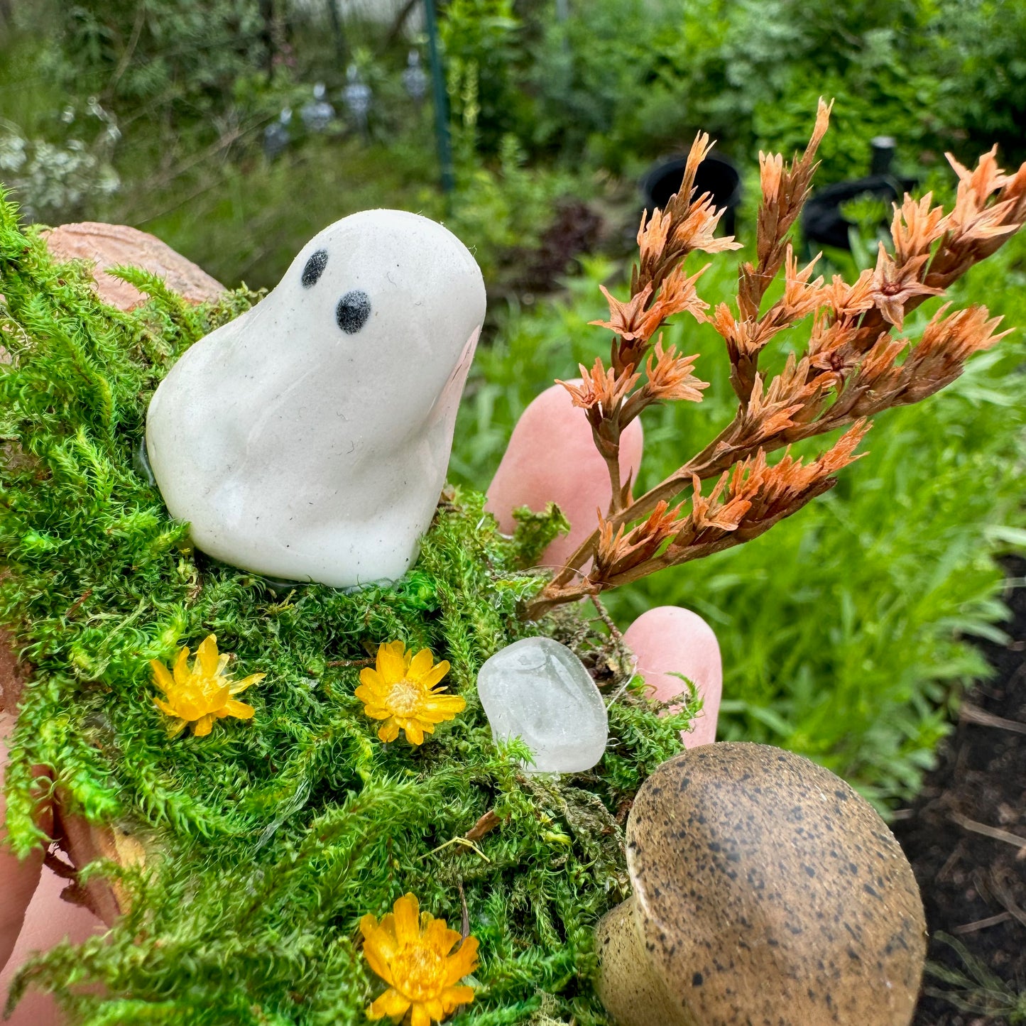 Spring Mushroom Garden