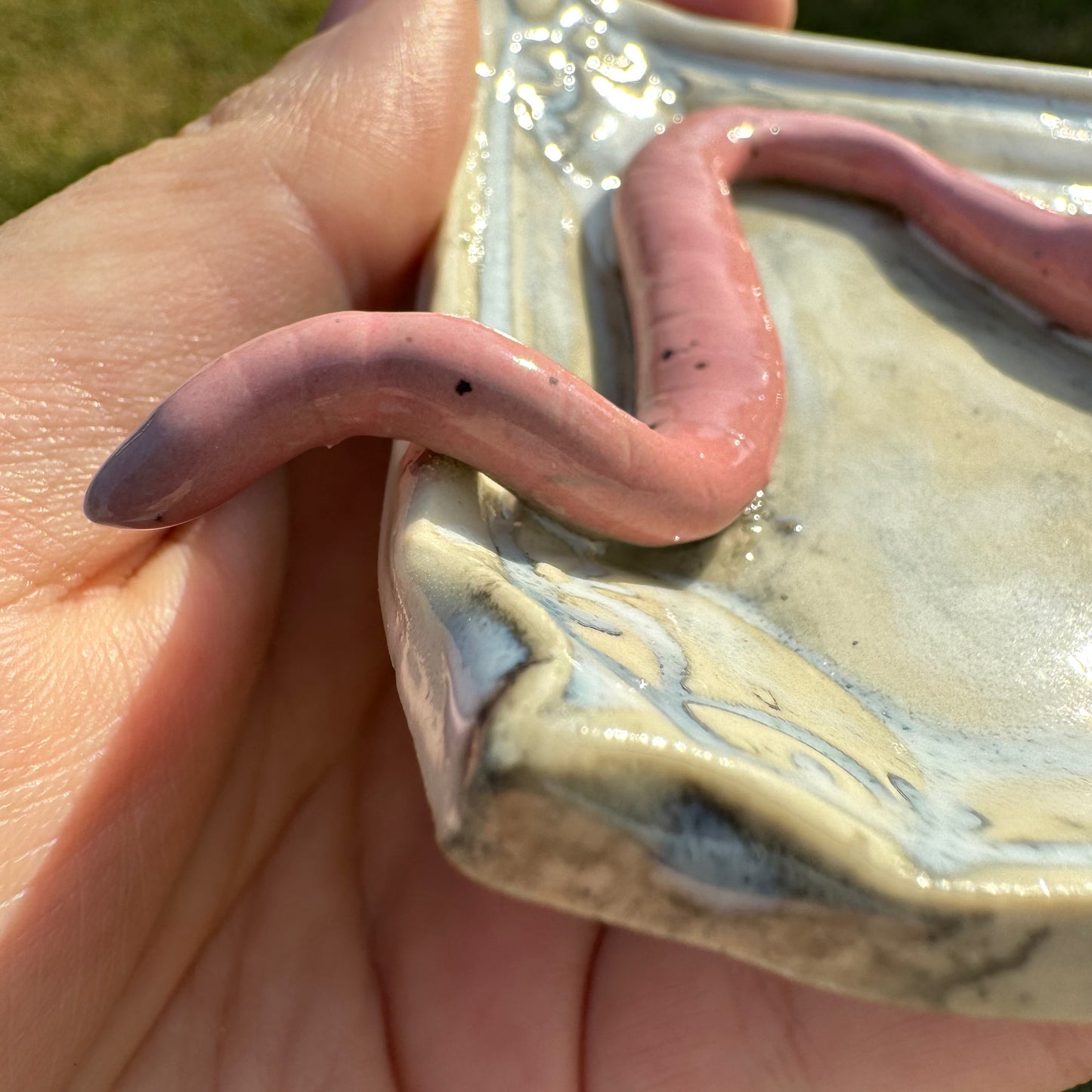 Handmade ceramic Worms Crawl In Worms Crawl Out trinket tray
