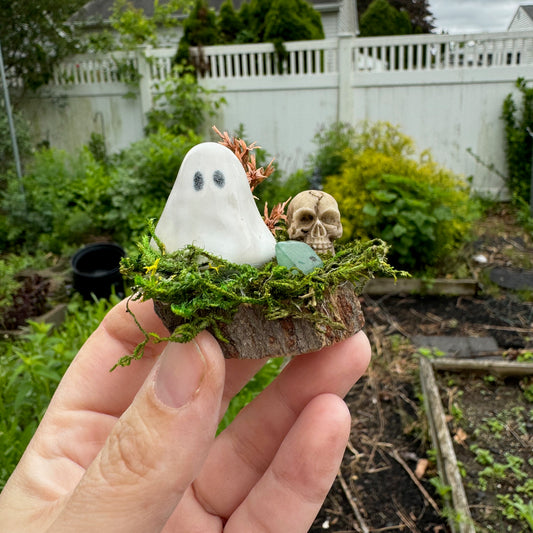 Spooky Skull Mini Ghost Garden