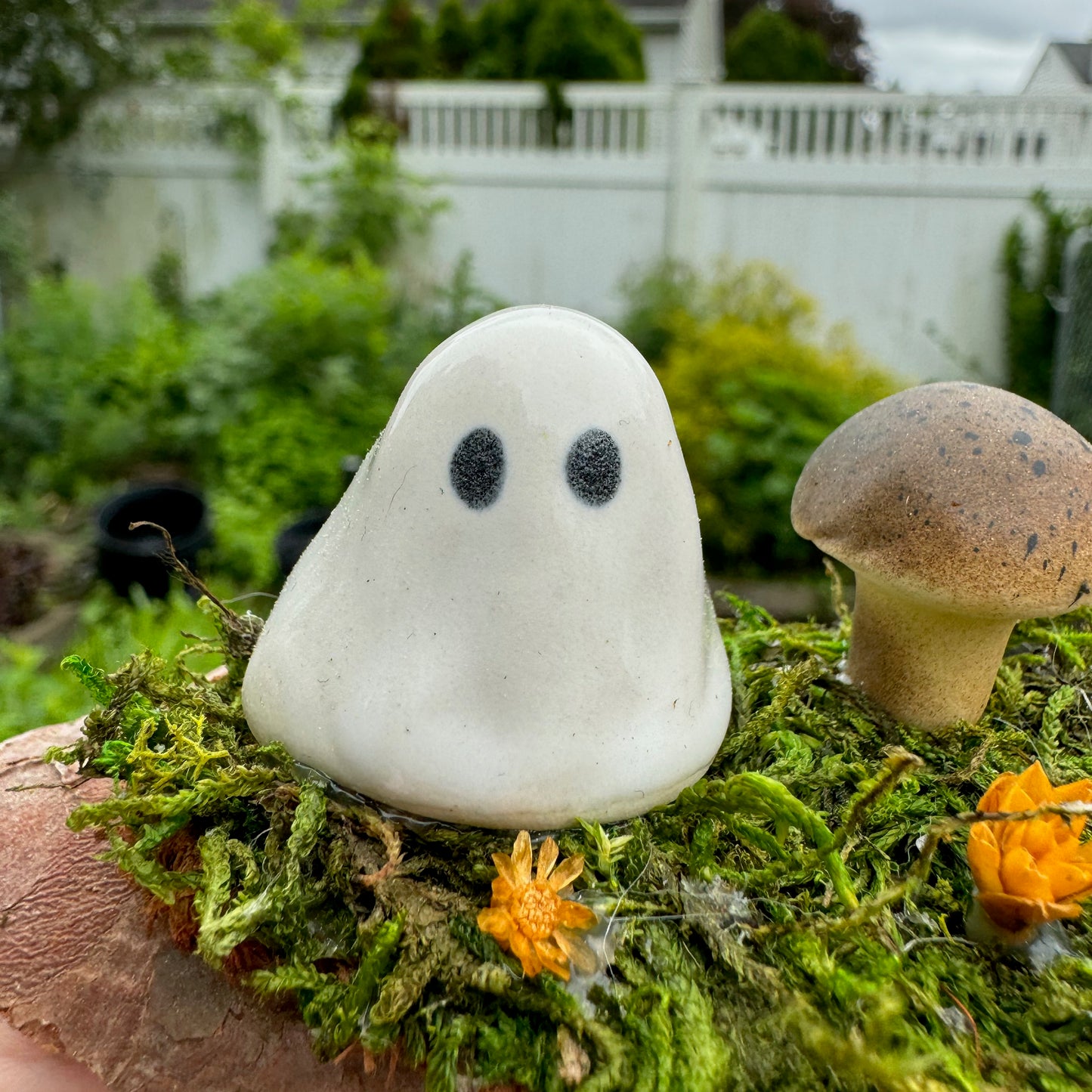 Mushroom Forest Ghost Garden