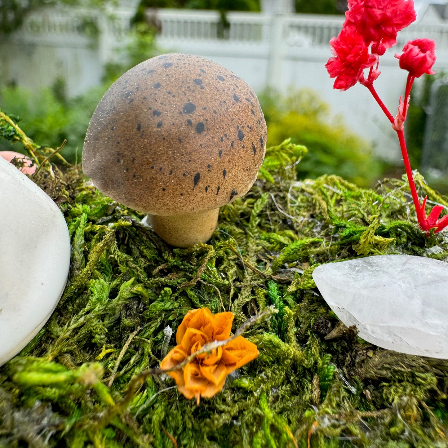 Mushroom Forest Ghost Garden