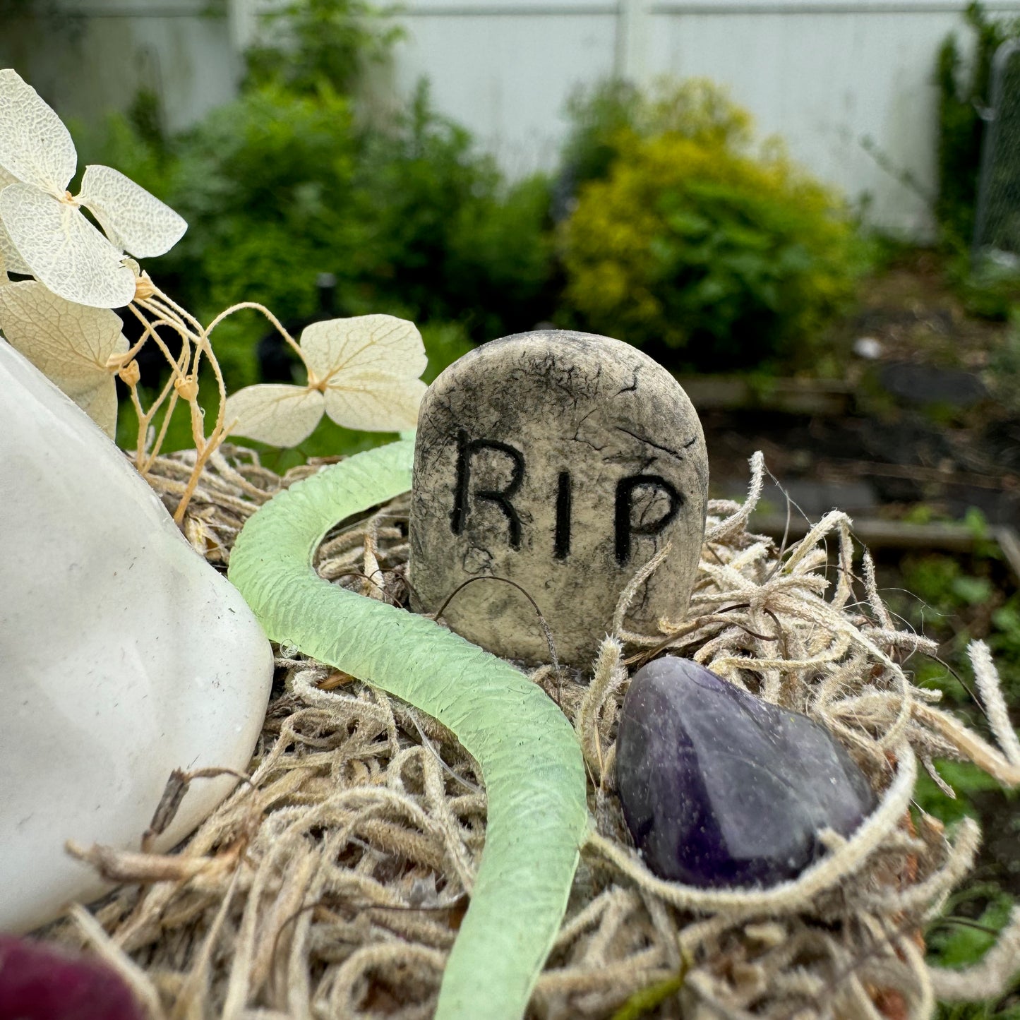 Spanish Moss Cemetery Ghost Garden