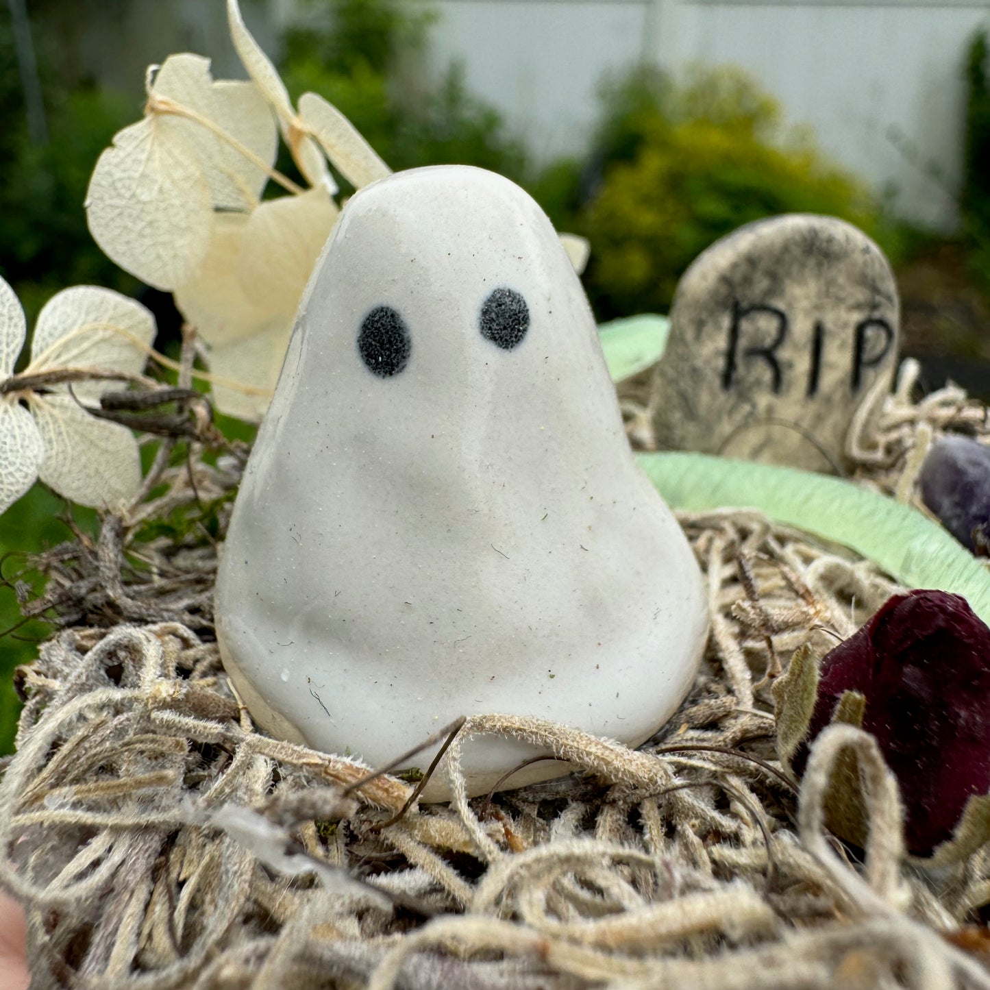 Spanish Moss Cemetery Ghost Garden