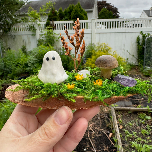 Spring Mushroom Garden