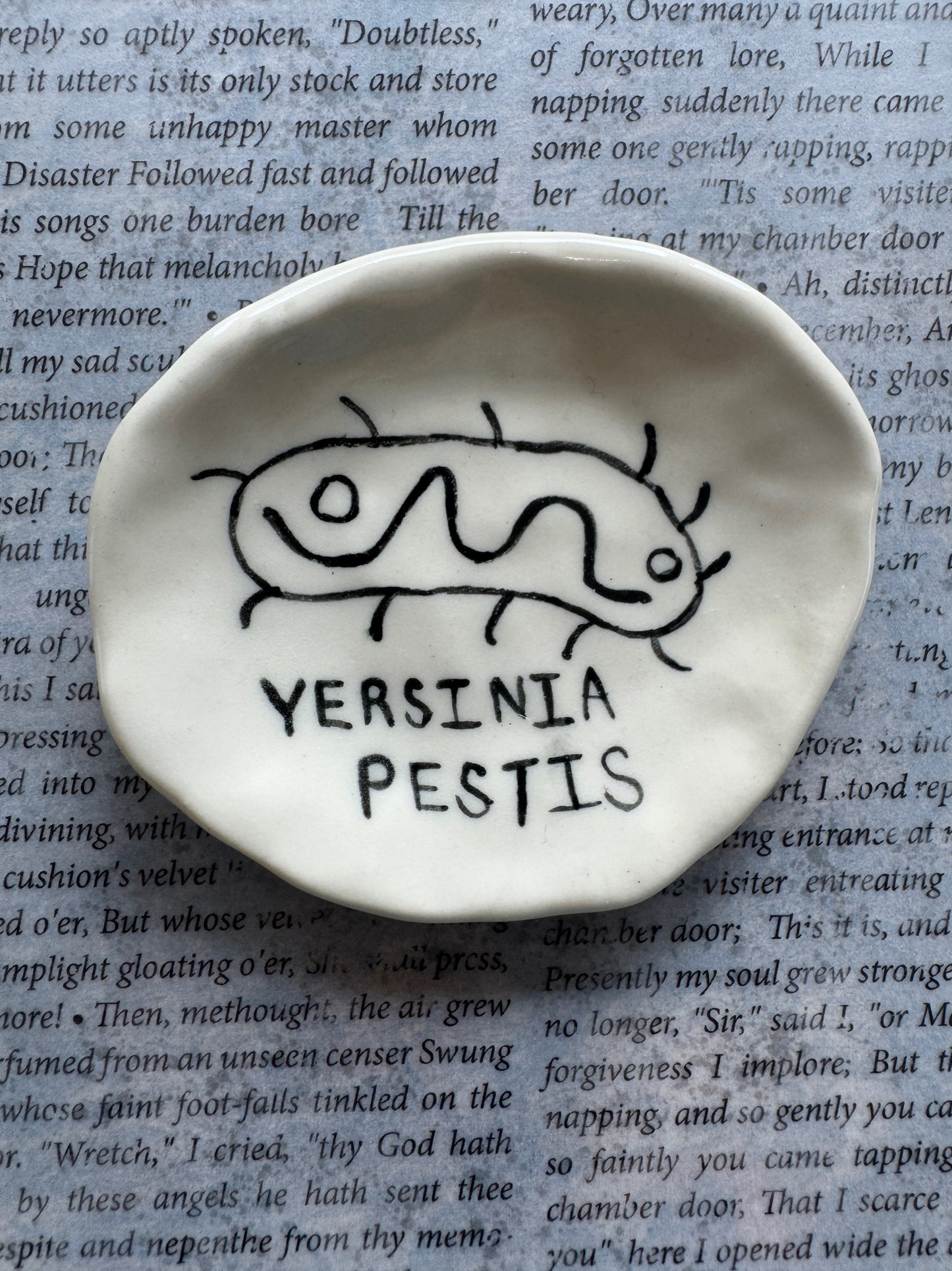 Ceramic yersinia pestis bacteria (plague) trinket dish