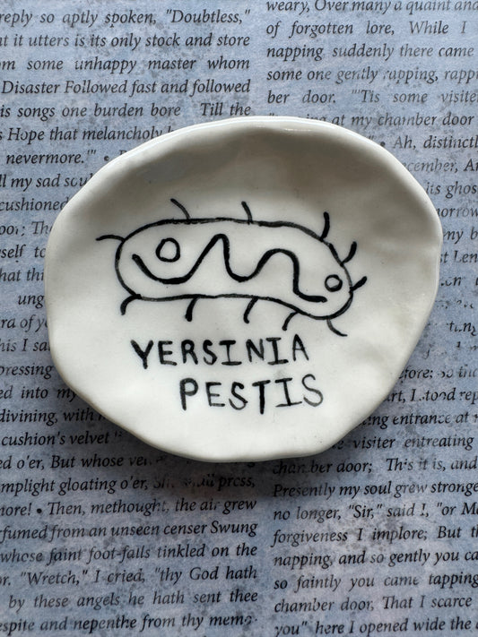Ceramic yersinia pestis bacteria (plague) trinket dish