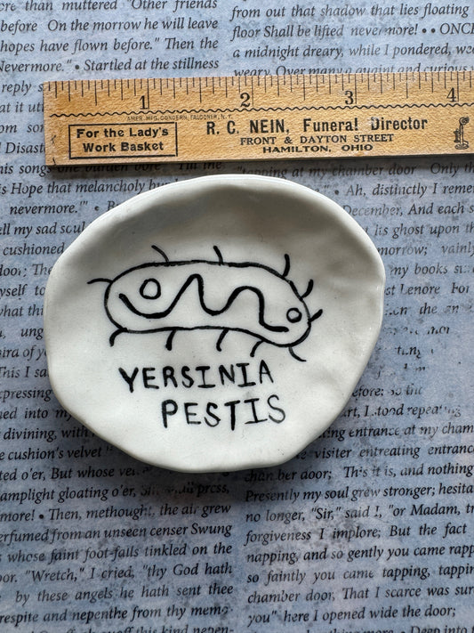 Ceramic yersinia pestis bacteria (plague) trinket dish