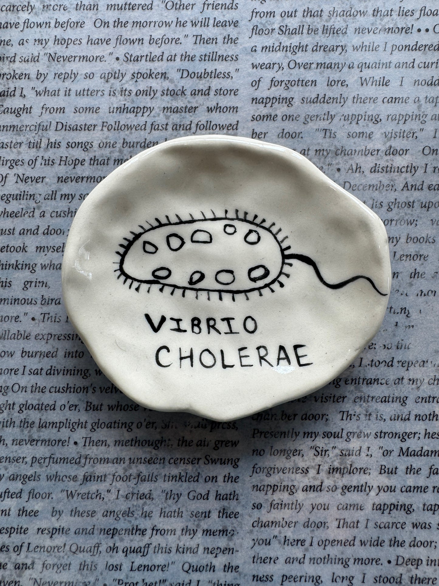 Ceramic cholera virus illustration trinket dish