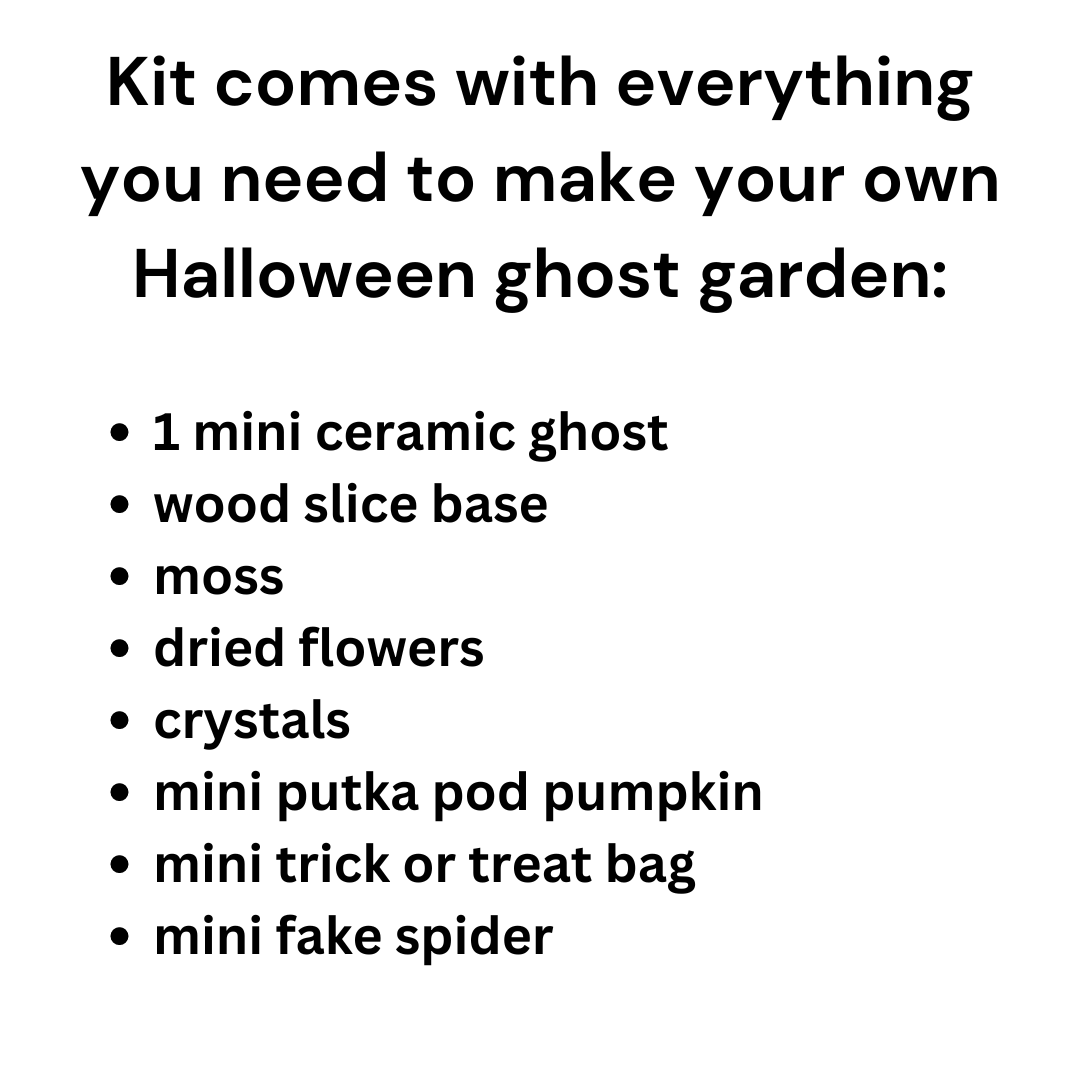 Make Your Own Halloween Ghost Garden Kit